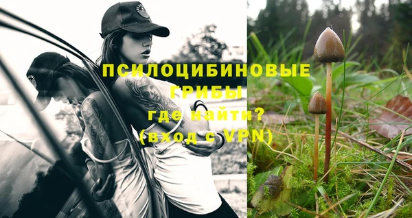 шишки Зерноград